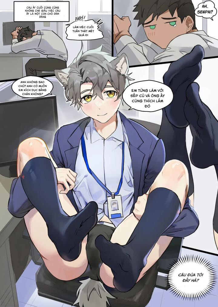 Chapter 211