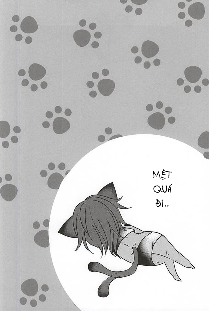 Chapter 210
