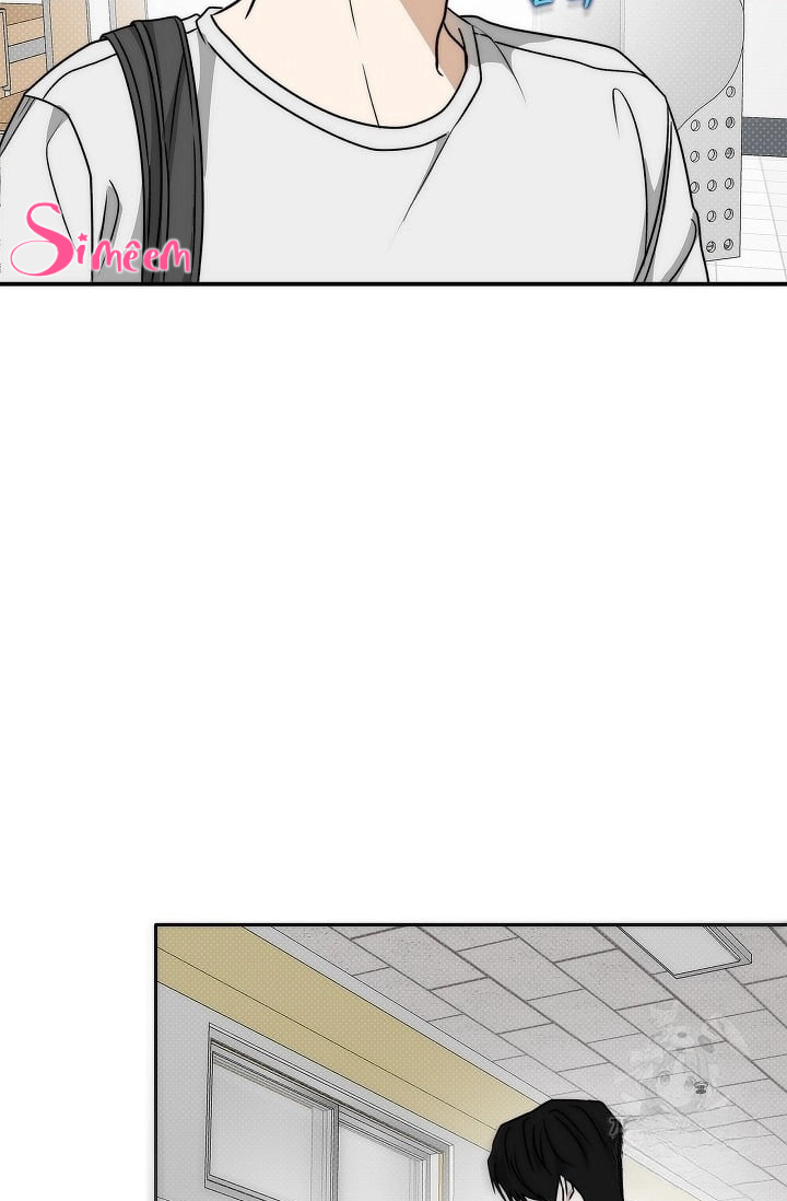Chapter 320