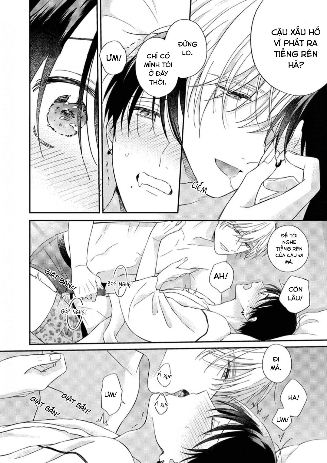 Chapter 310