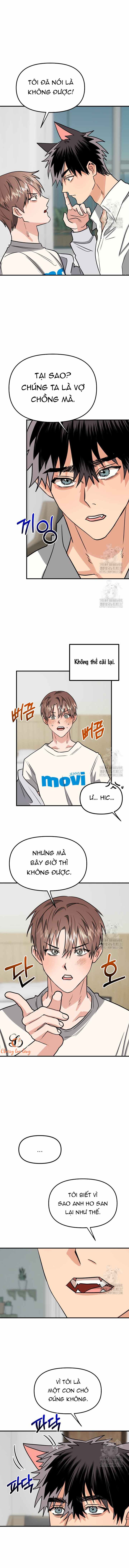 Chapter 242