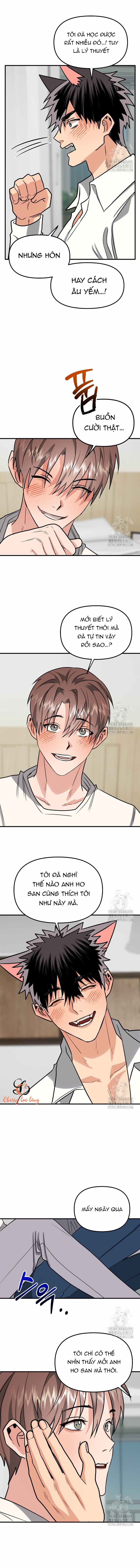 Chapter 242