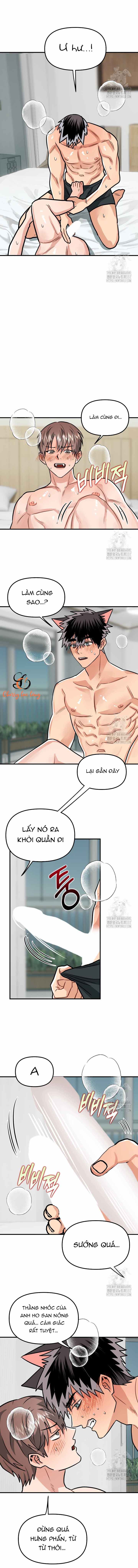 Chapter 242