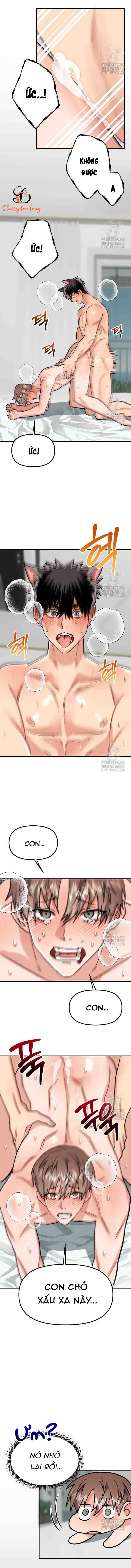 Chapter 249