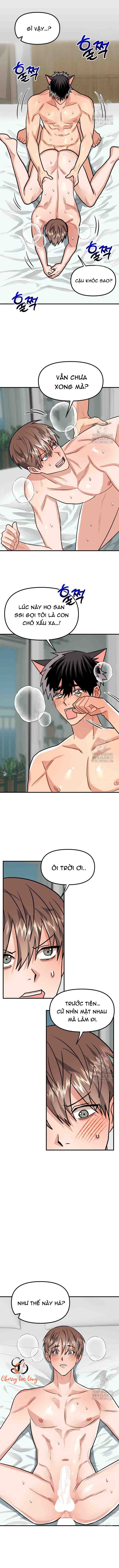 Chapter 249