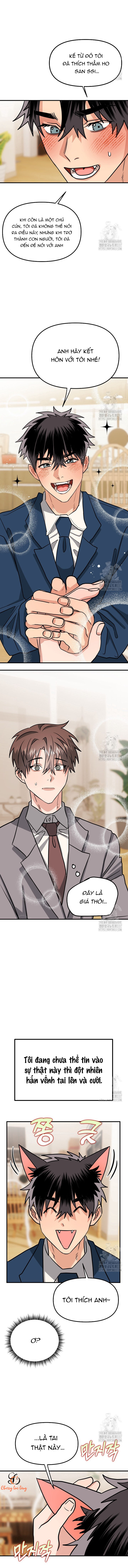 Chapter 241