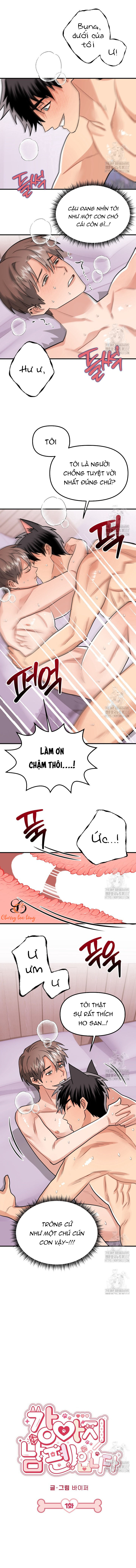 Chapter 241