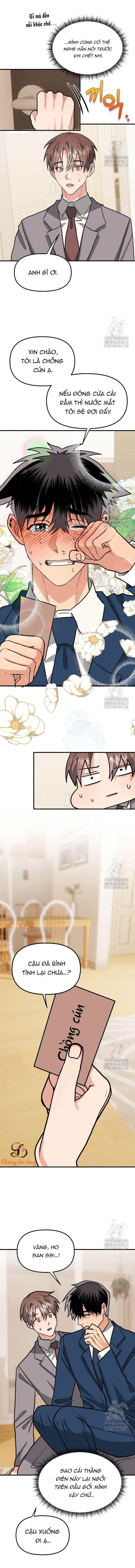 Chapter 241