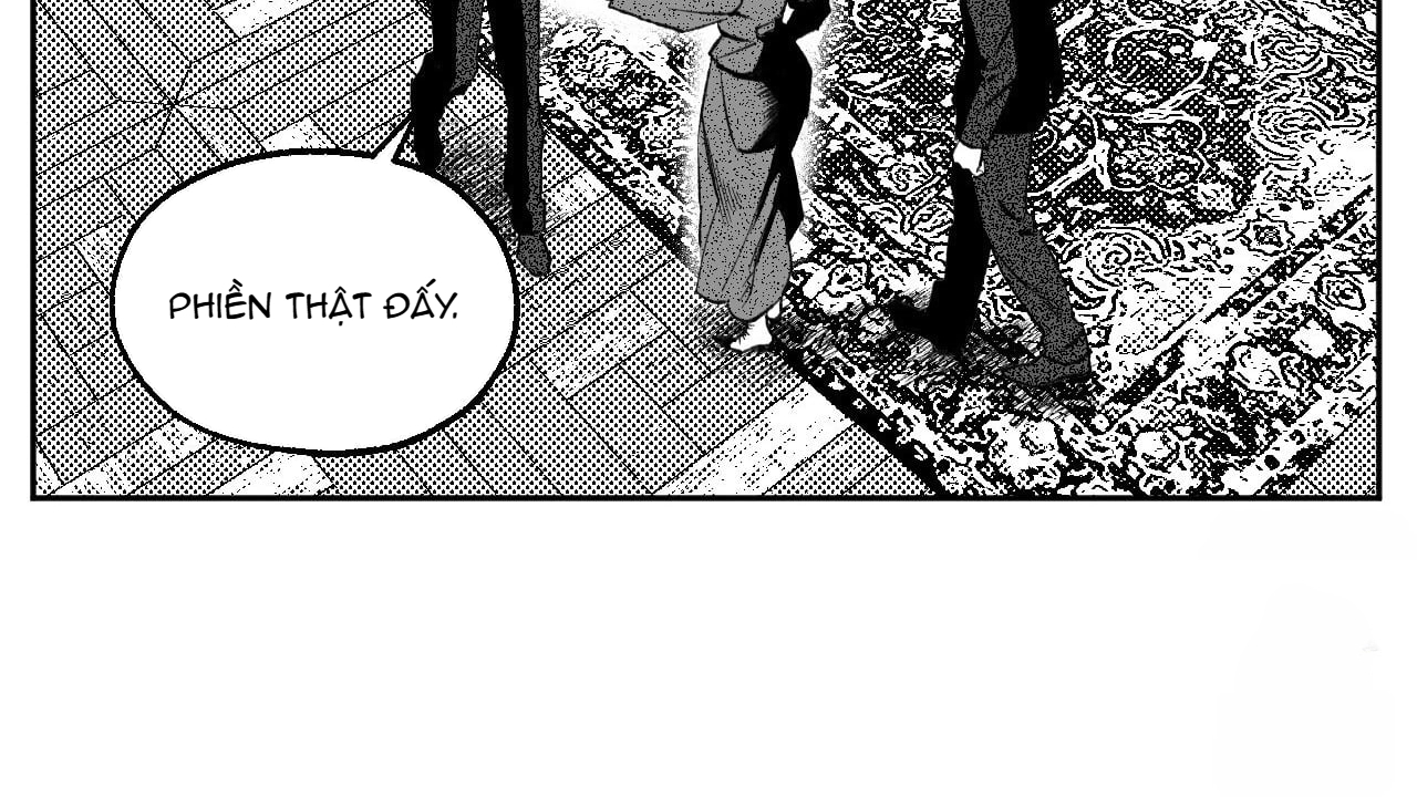 Chapter 244