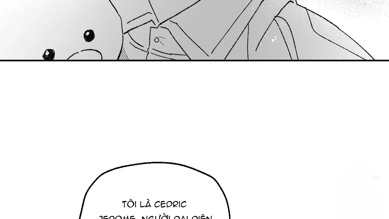 Chapter 244