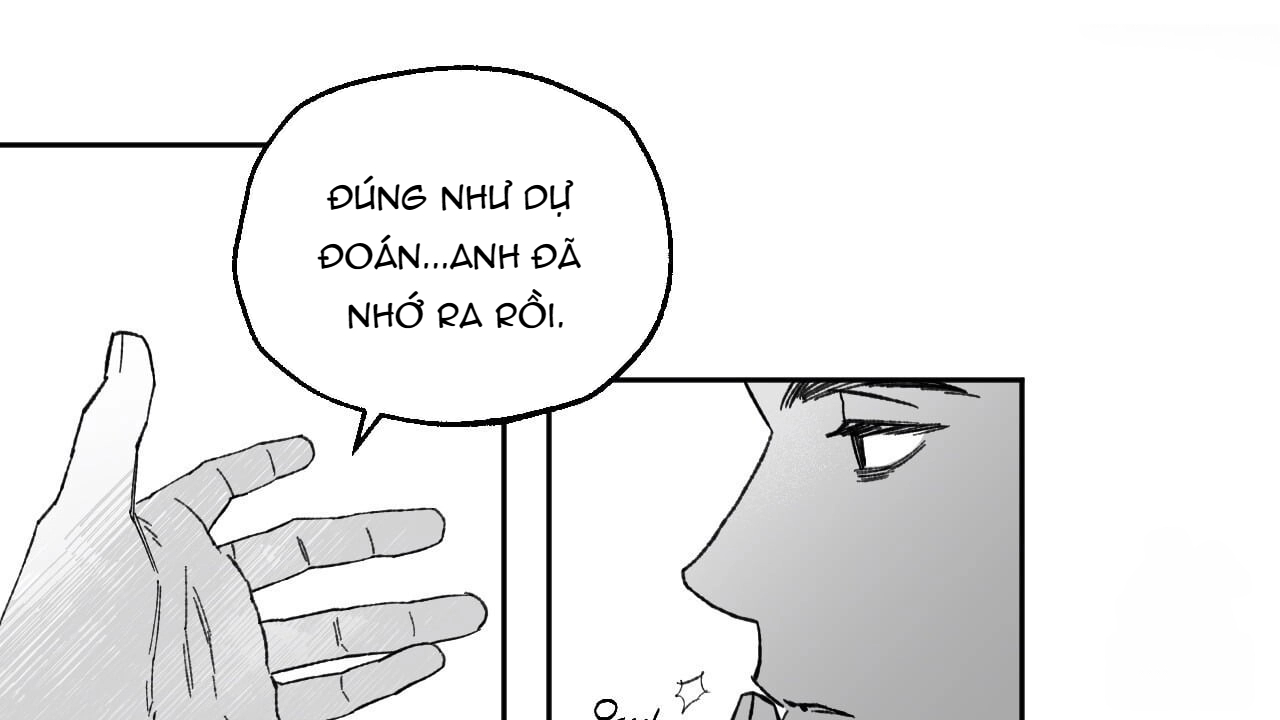 Chapter 244