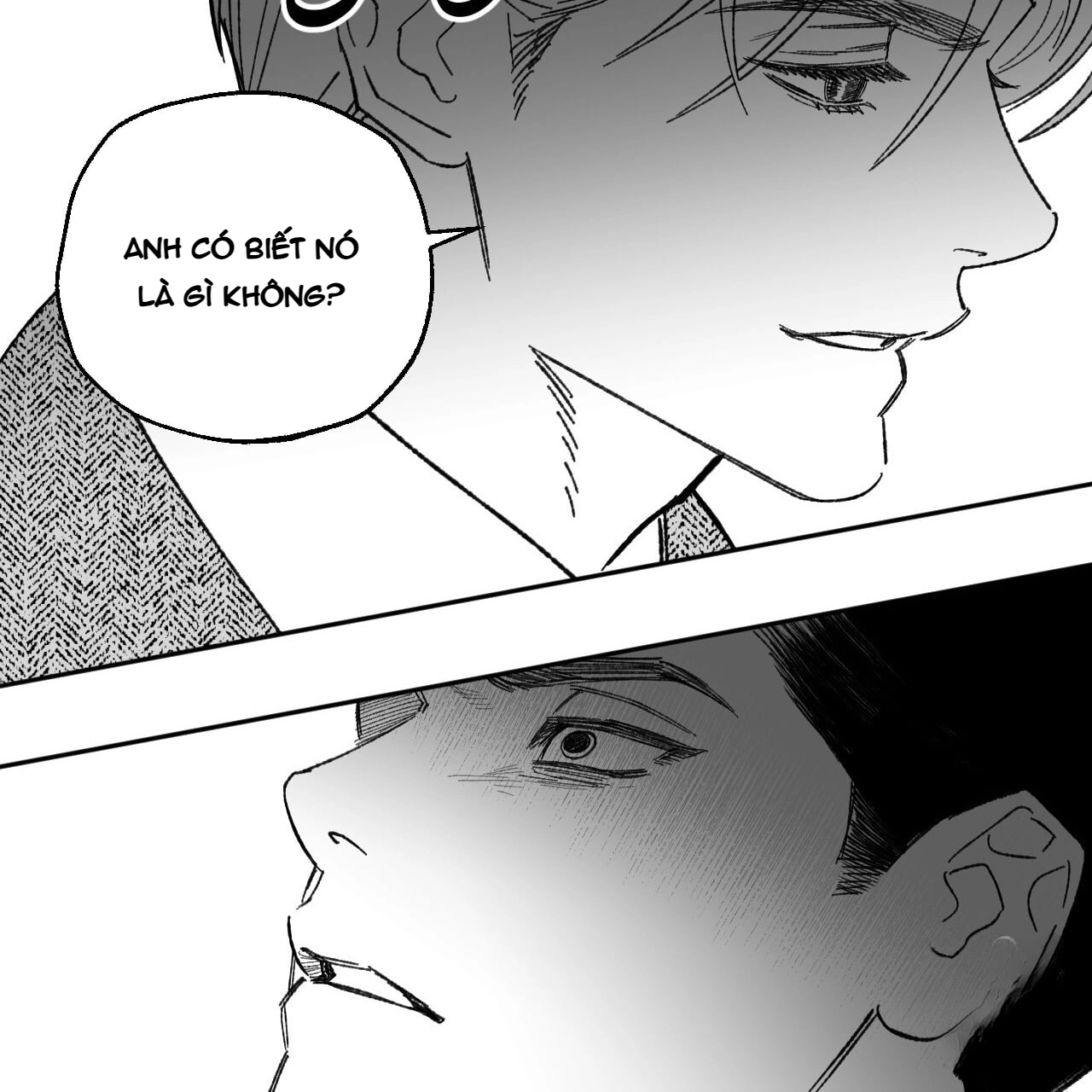 Chapter 244