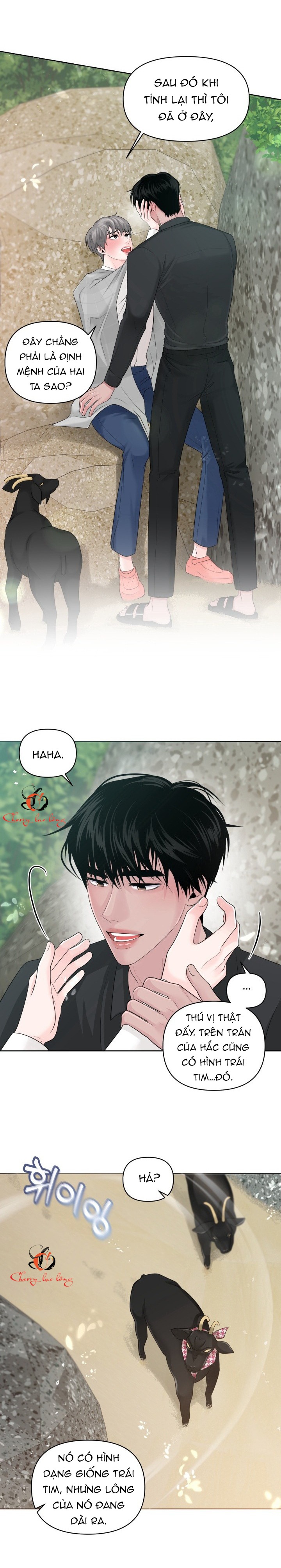 Chapter 275