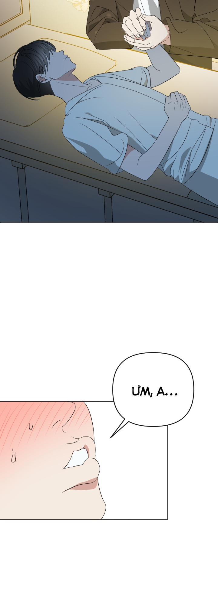 Chapter 295