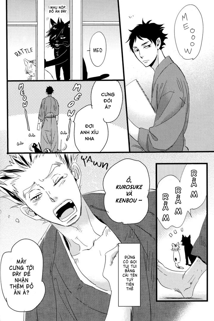 Chapter 332