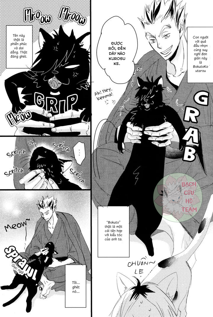 Chapter 332