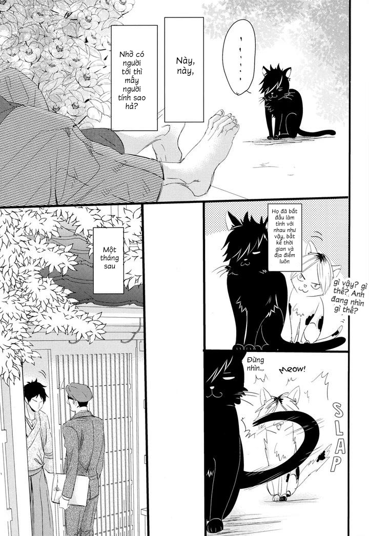 Chapter 332