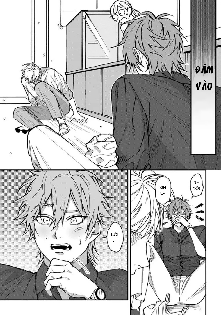 Chapter 339