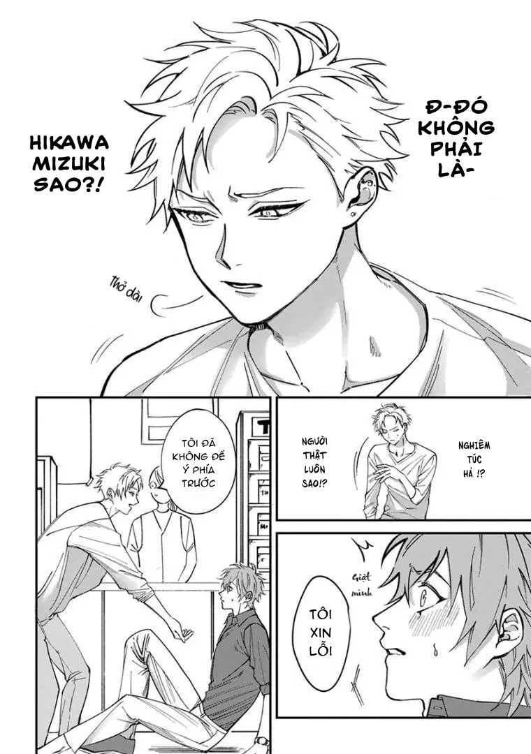 Chapter 339