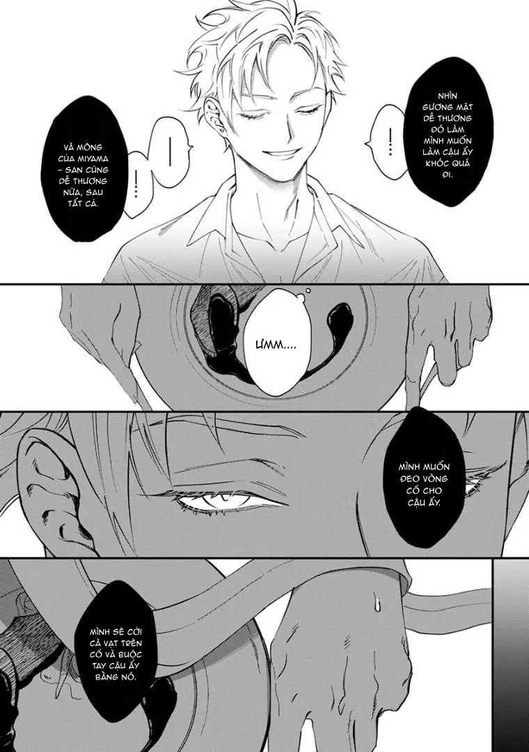 Chapter 339