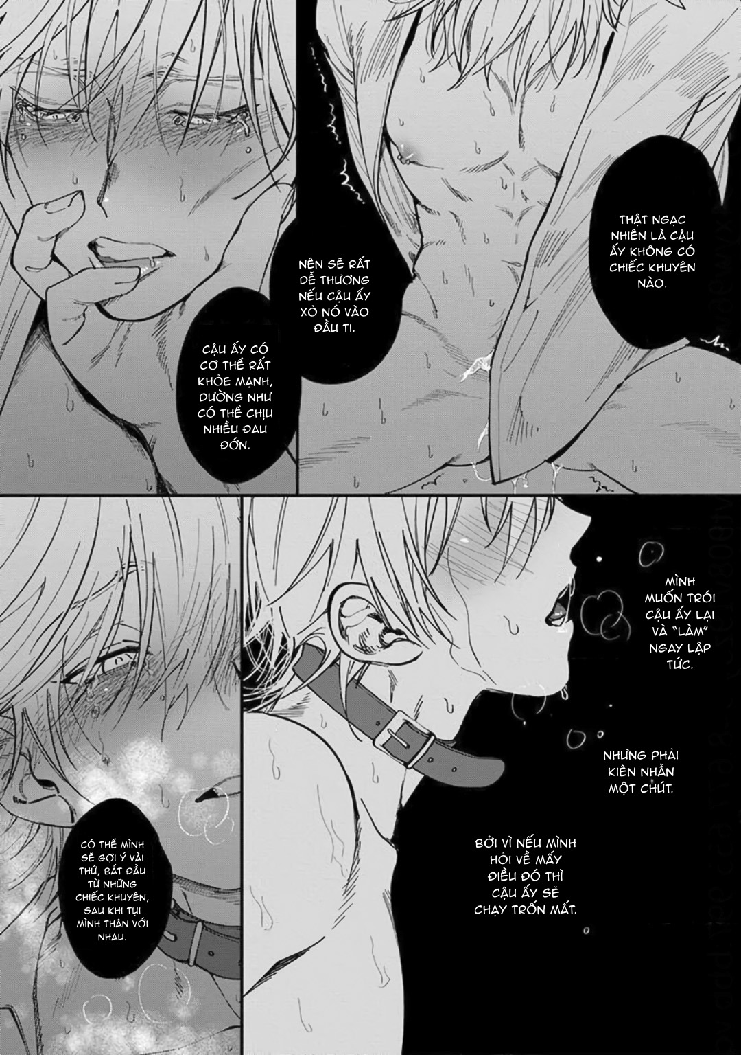 Chapter 339
