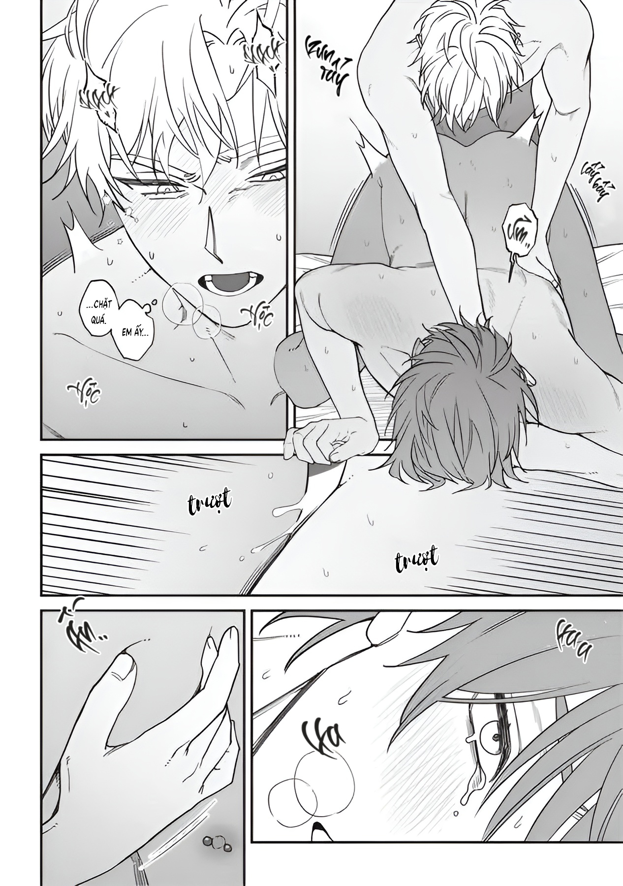 Chapter 519