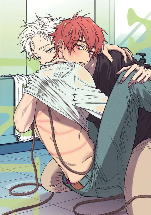 Chapter 519