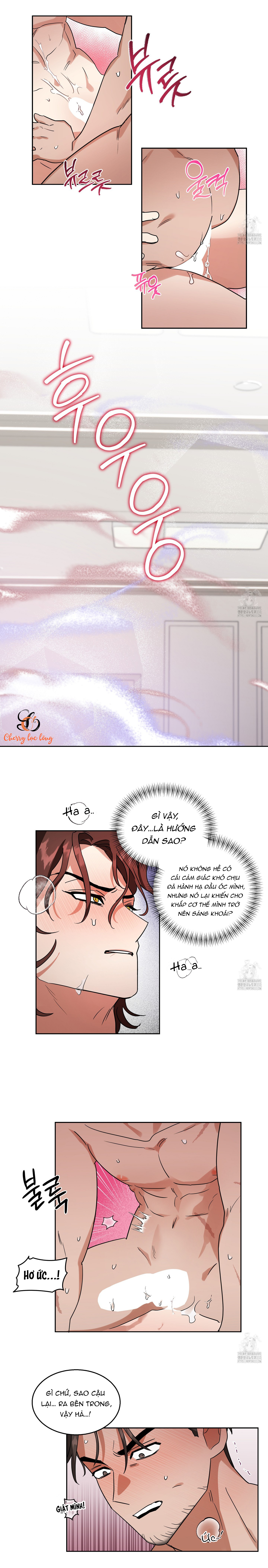 Chapter 393