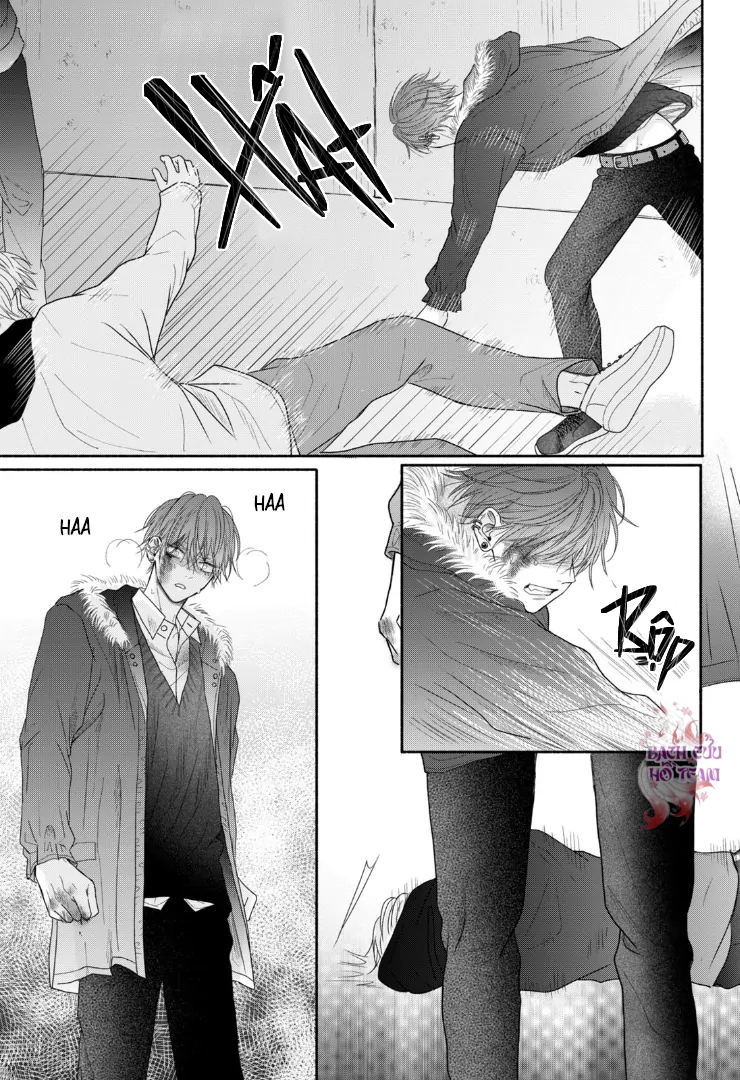 Chapter 583