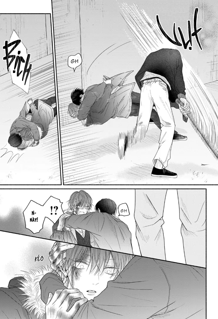 Chapter 583