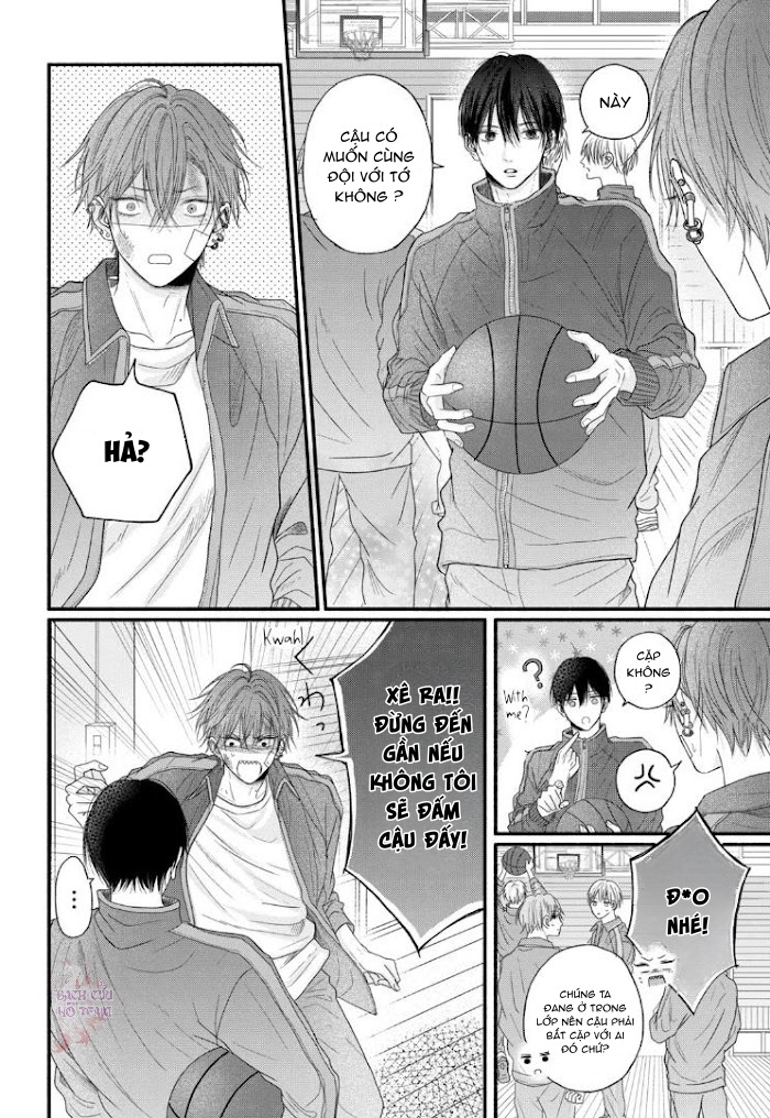 Chapter 482