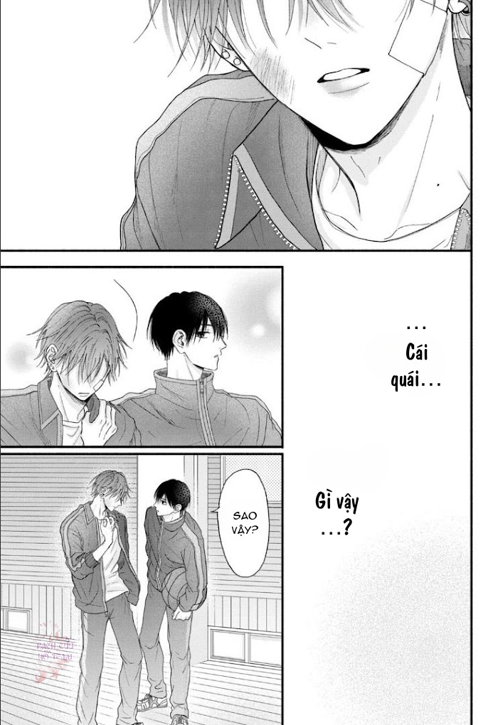 Chapter 482