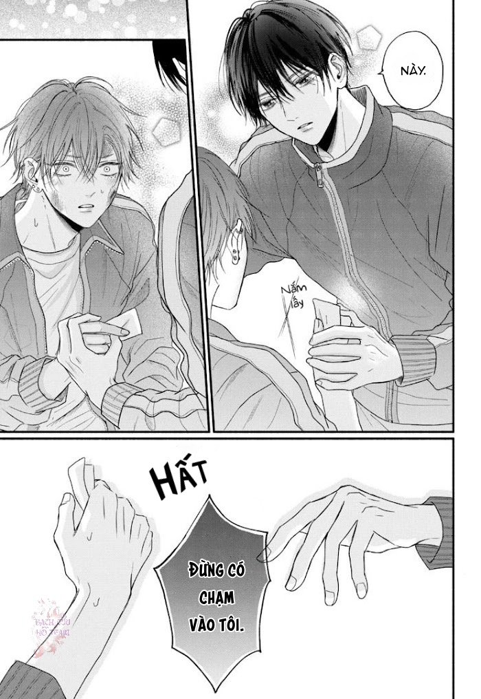 Chapter 482