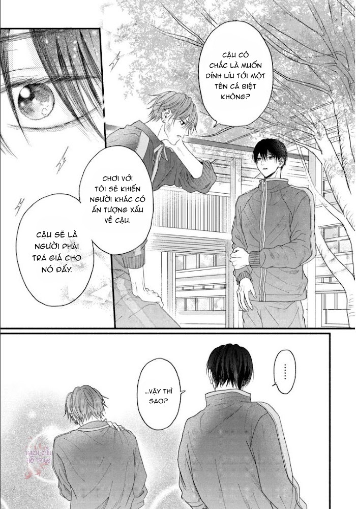 Chapter 482
