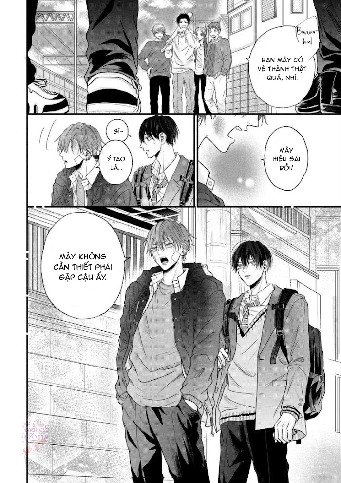 Chapter 482