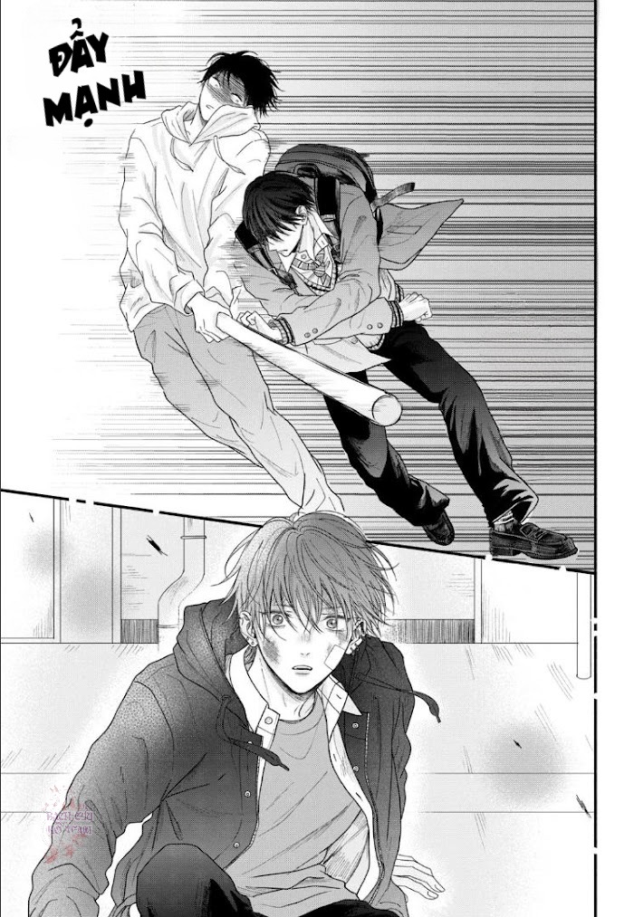 Chapter 482