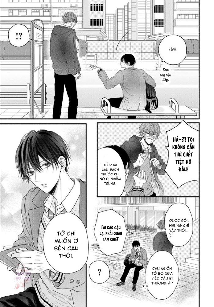 Chapter 482
