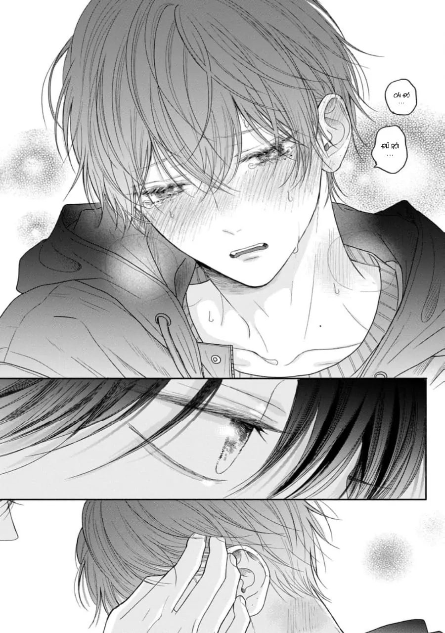 Chapter 584