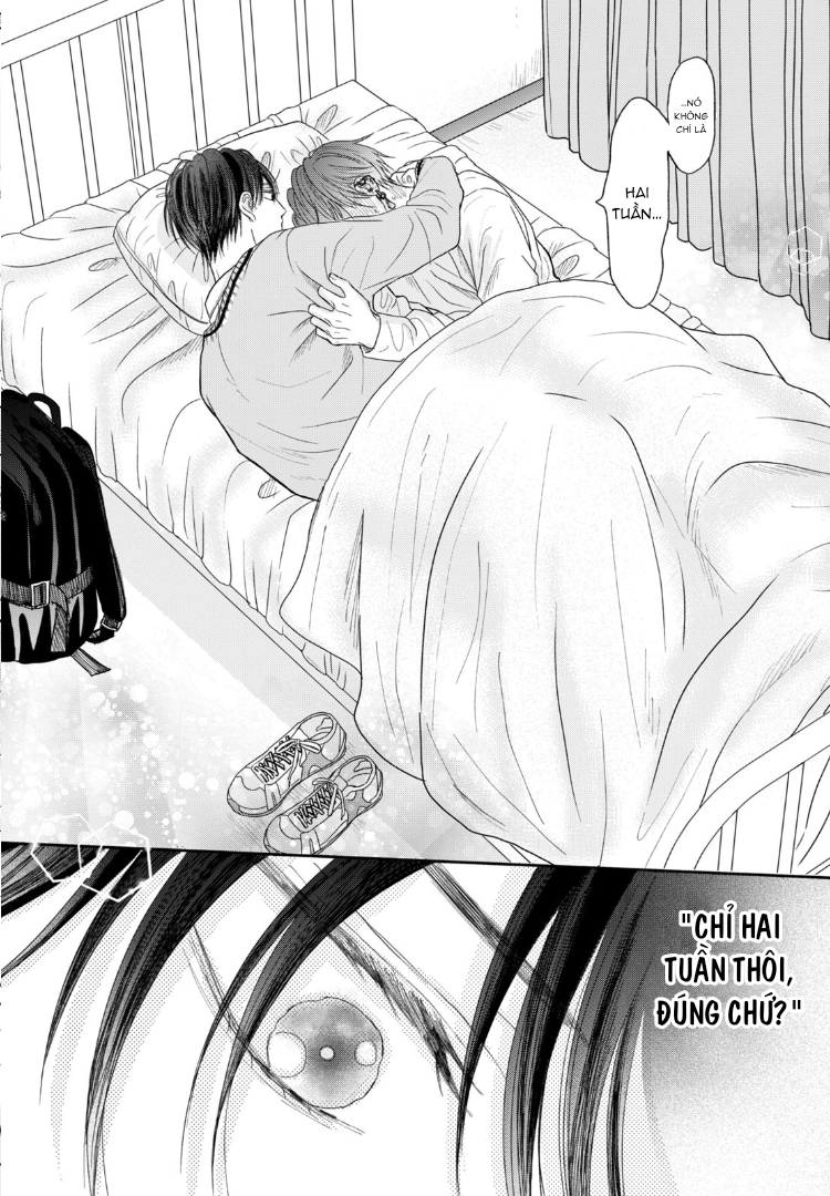 Chapter 582