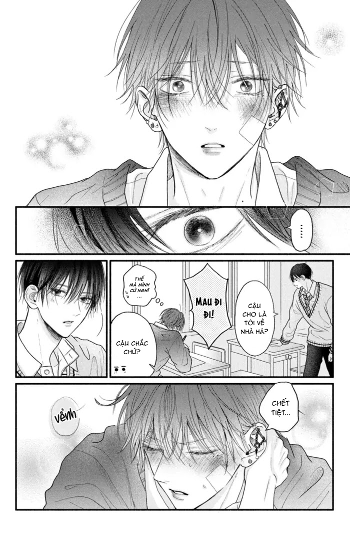 Chapter 511