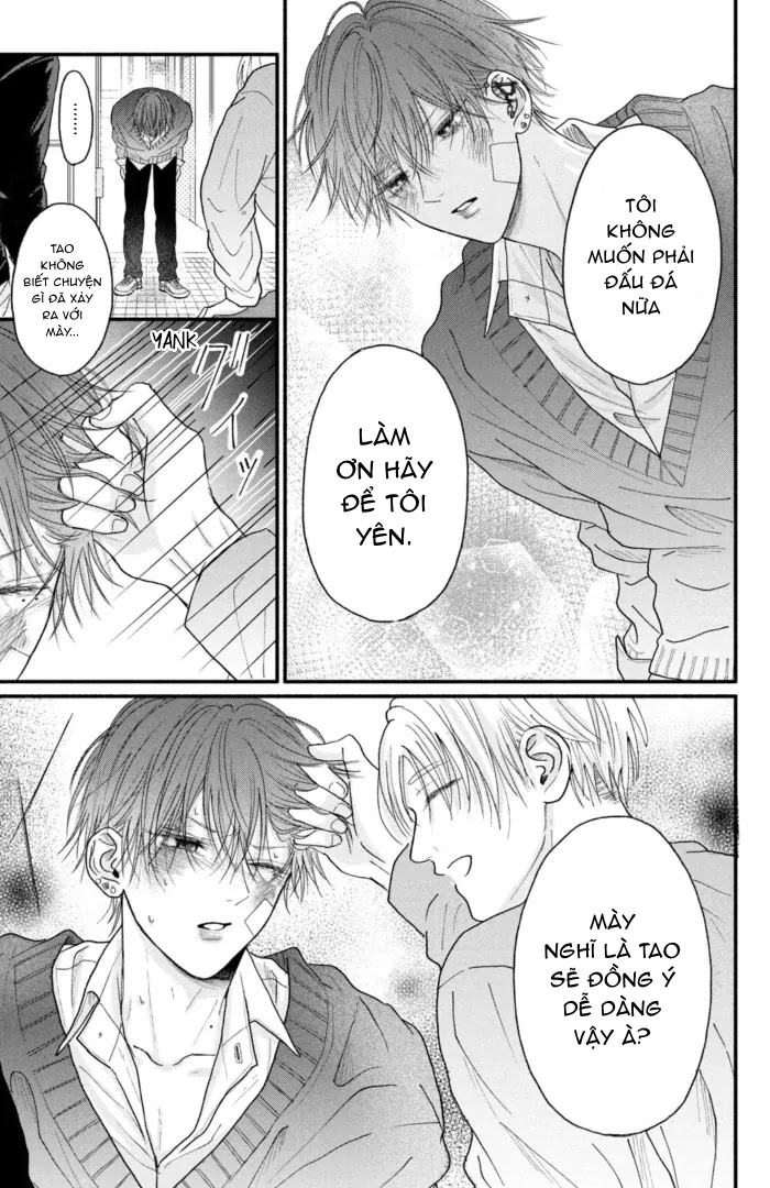 Chapter 511