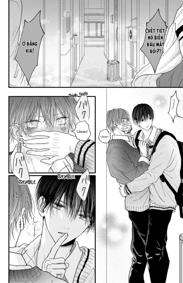 Chapter 511