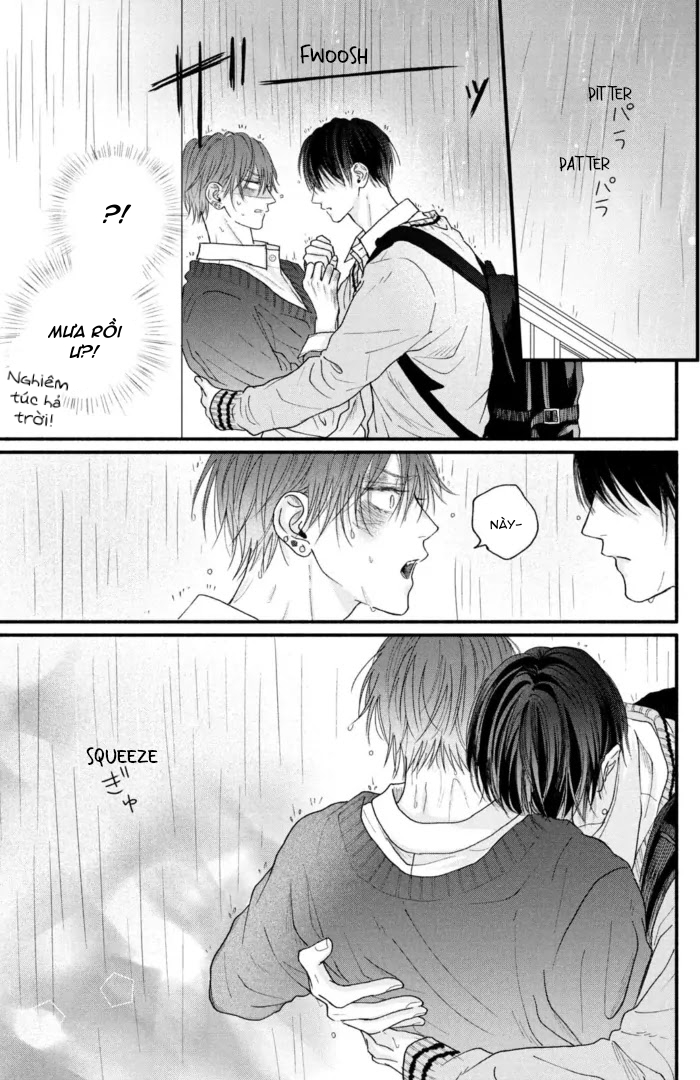 Chapter 511