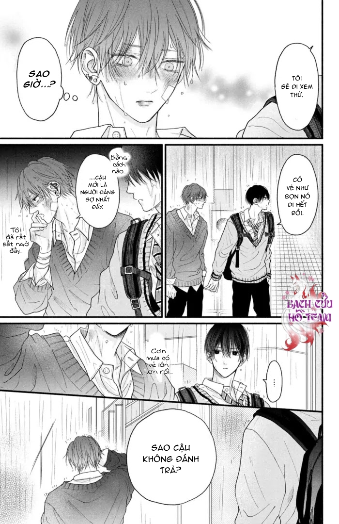 Chapter 511