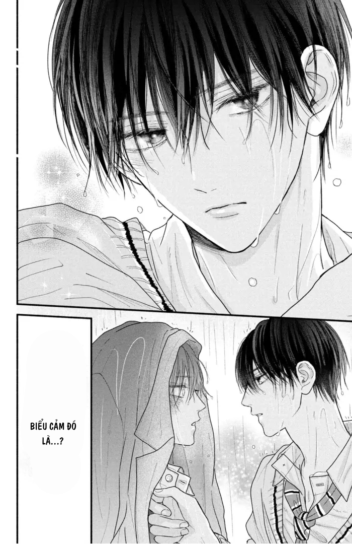 Chapter 511