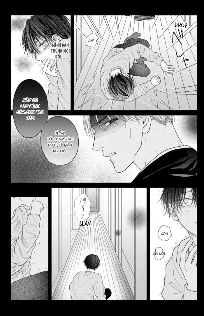 Chapter 512