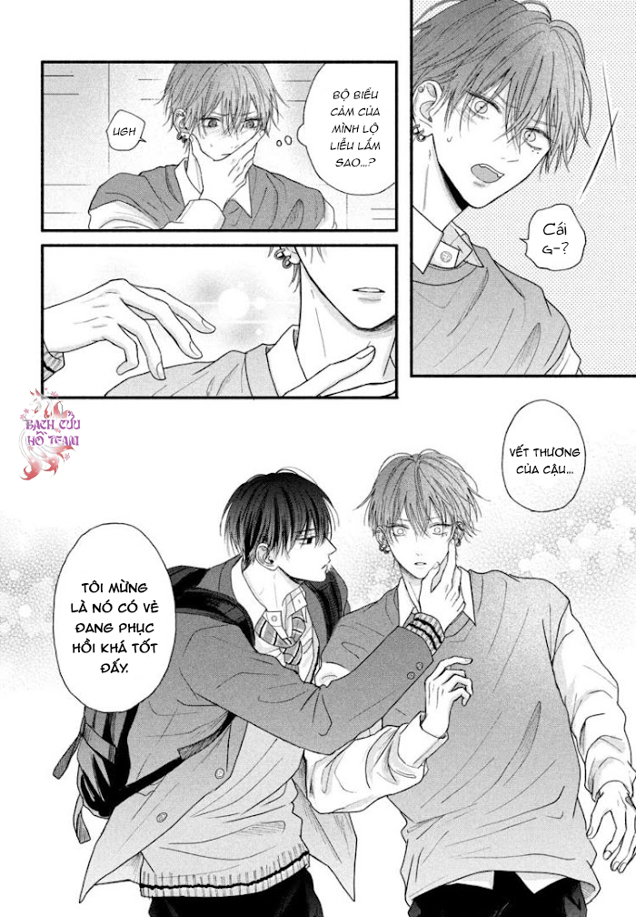 Chapter 492