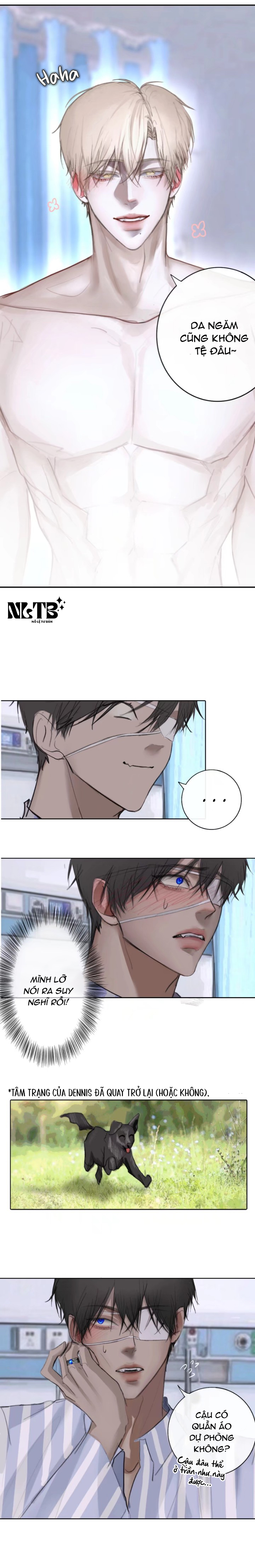Chapter 559