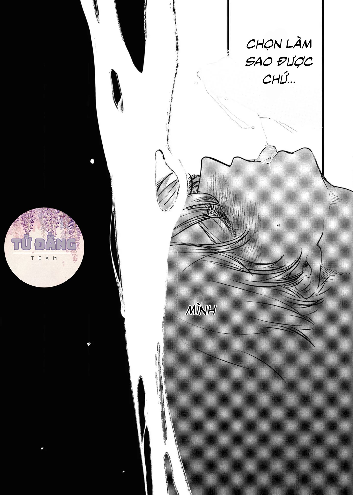 Chapter 709