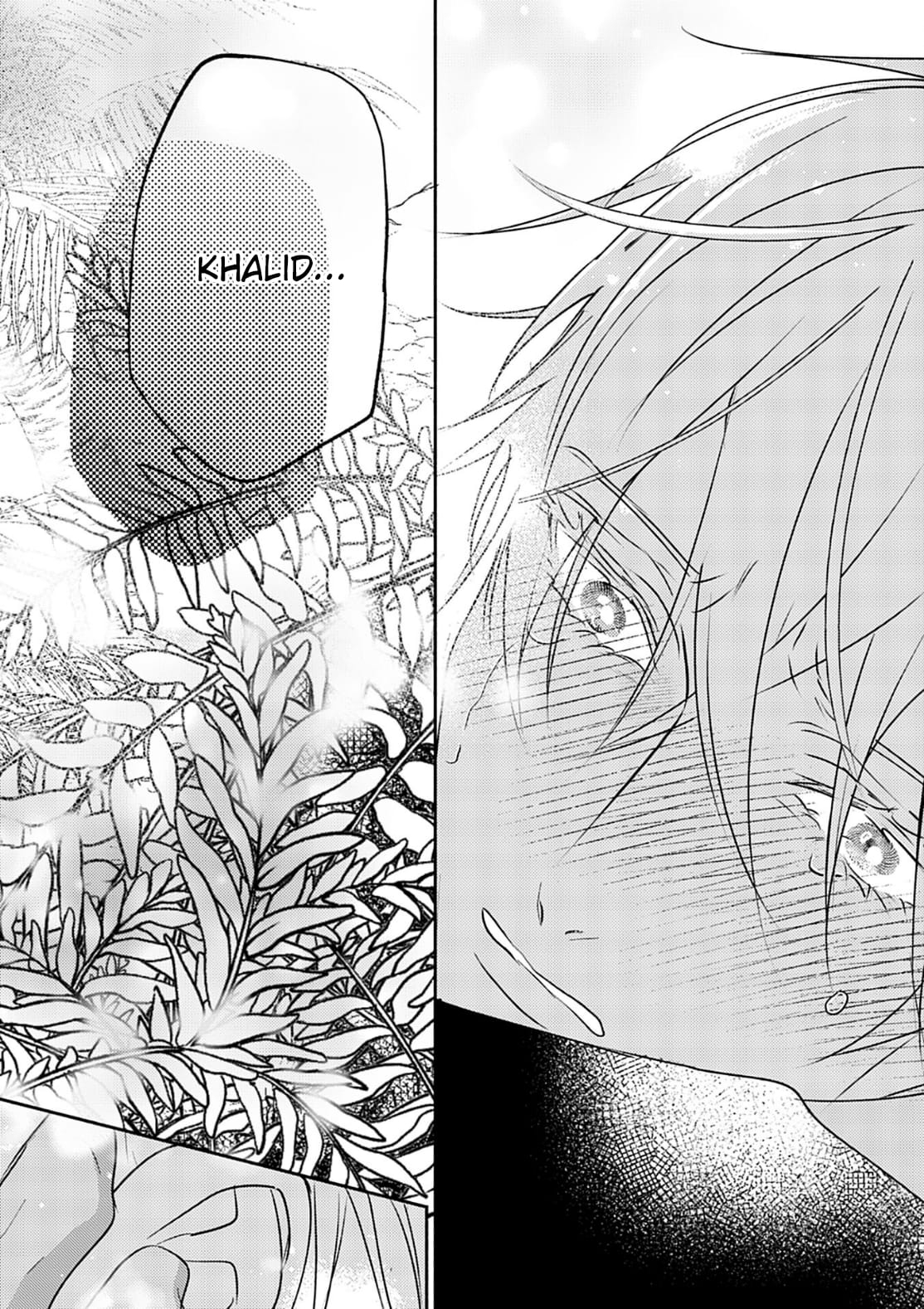 Chapter 682